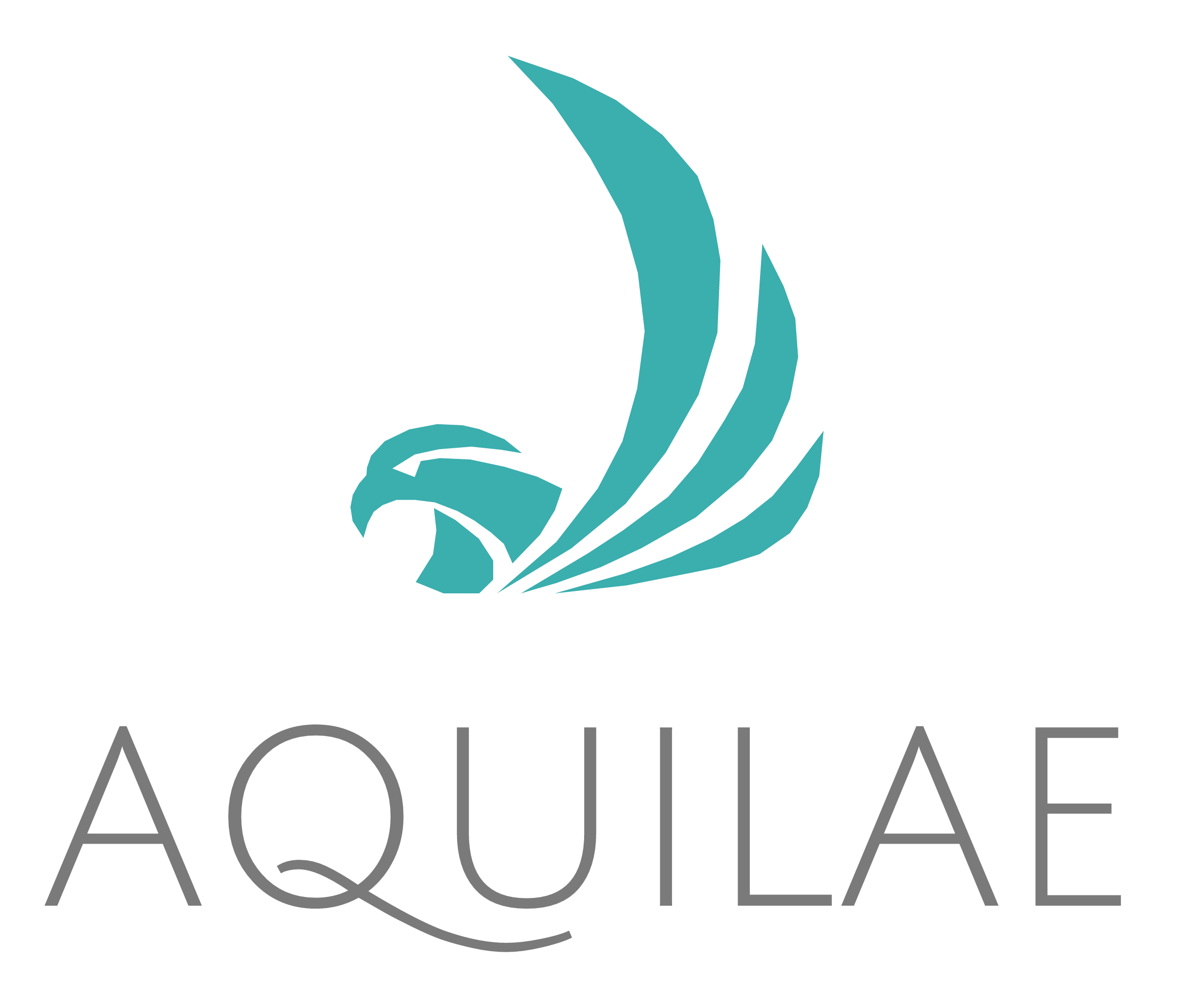 Aquilae Consulting Group