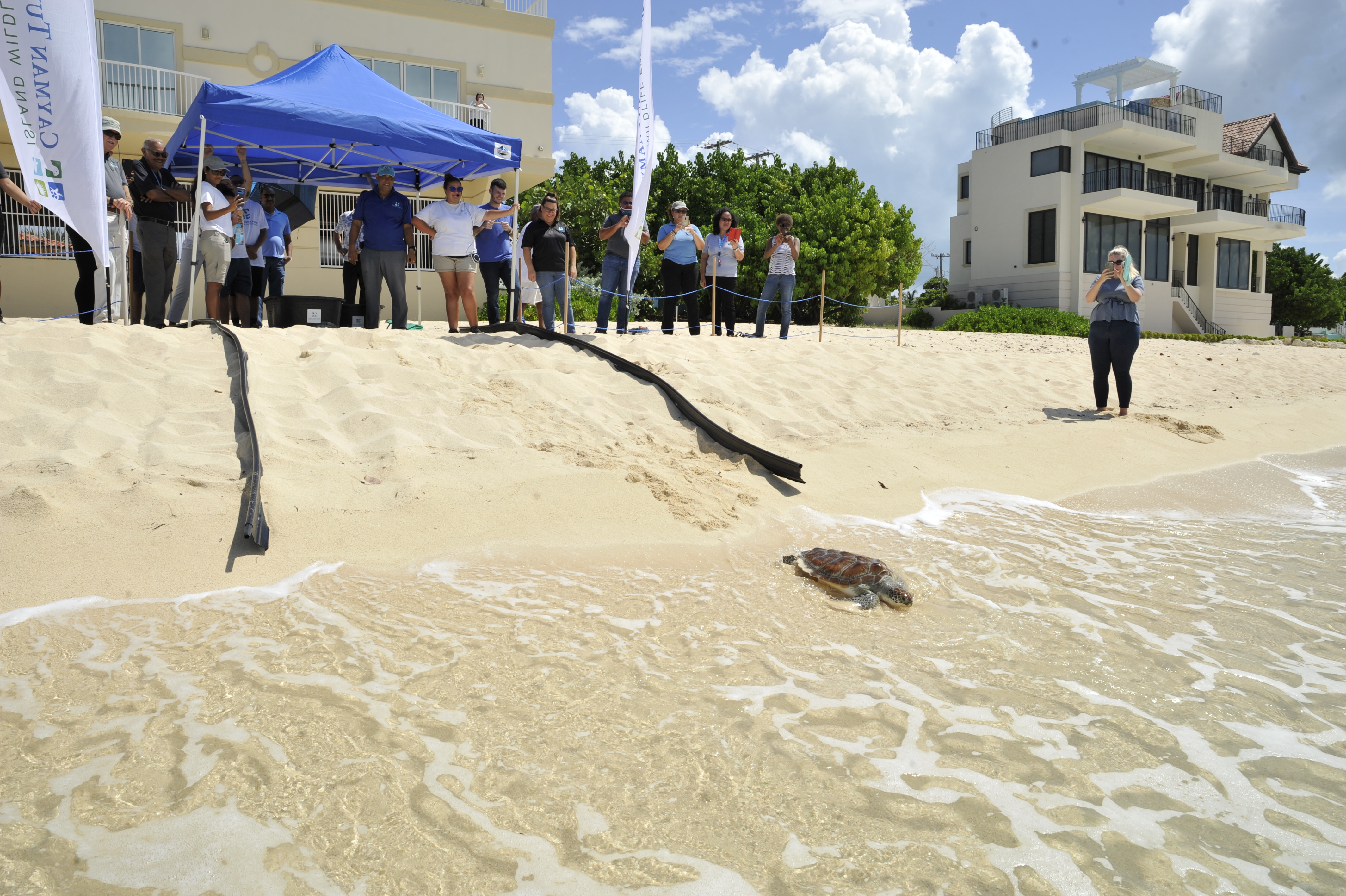 CTC Crew Members gathered to send off 2 Green sea turtles into the wild